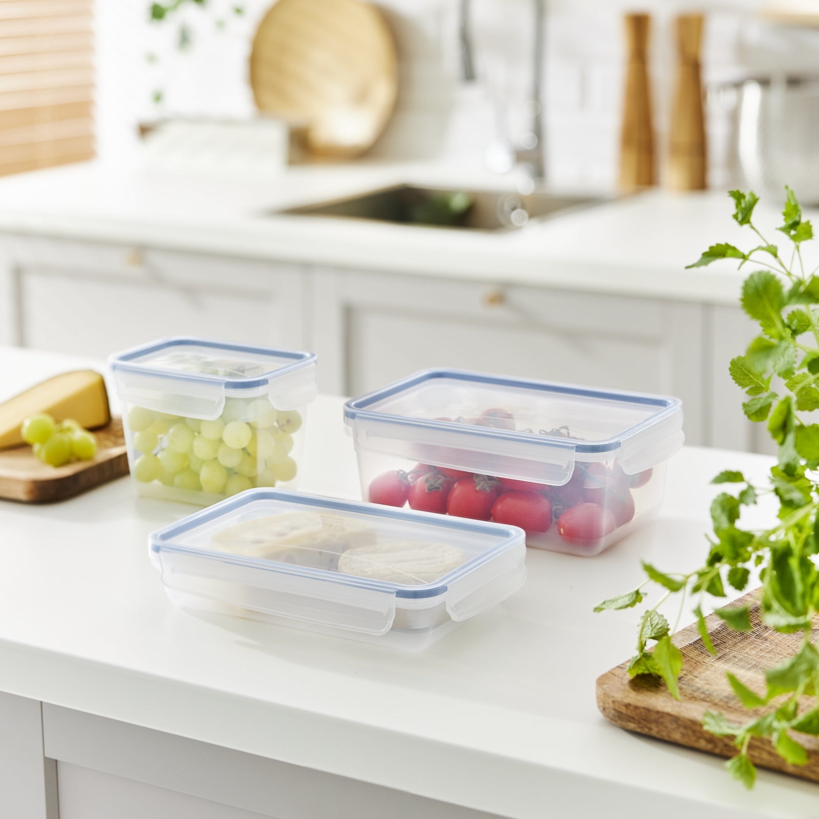 Rotho Kühlschrankdose Clic & Lock – 1 l – rechteckig – 23,9 × 5 × 16 cm – Kunststoff – transparent