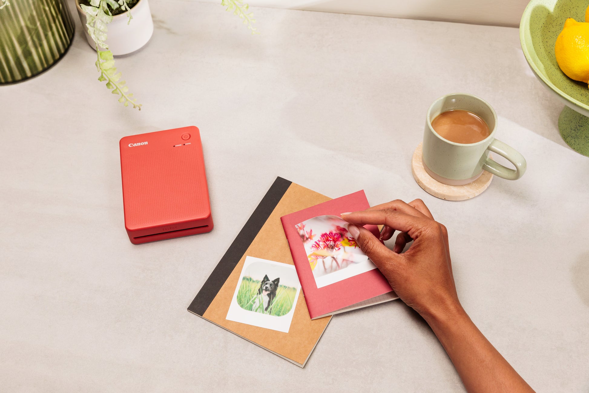 Canon SELPHY QX20 – Sublimationsdrucker, Farbe, WLAN/USB, 287 × 287 dpi
