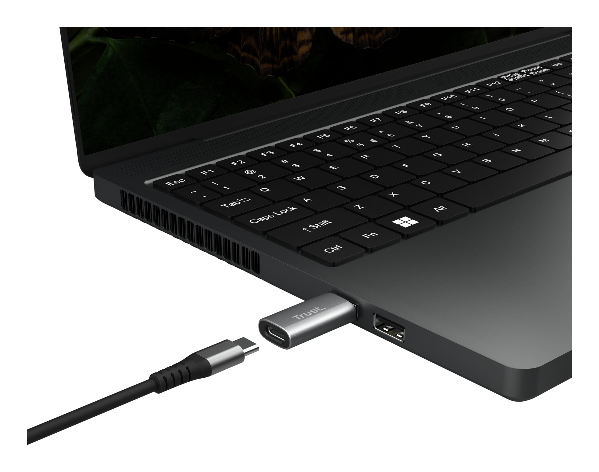 Trust Calyx Adapter USB-A zu USB-C – 2er-Pack, Plug & Play, USB 1.0/1.1 (12 Mbit/s), Grau