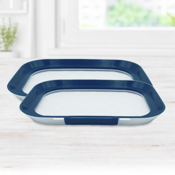 Mediashop Livington – Frischhalteplatte 2er-Set, 30 × 22 × 3 cm, Thermoplastisches Polyurethan (TPU), transparent/blau