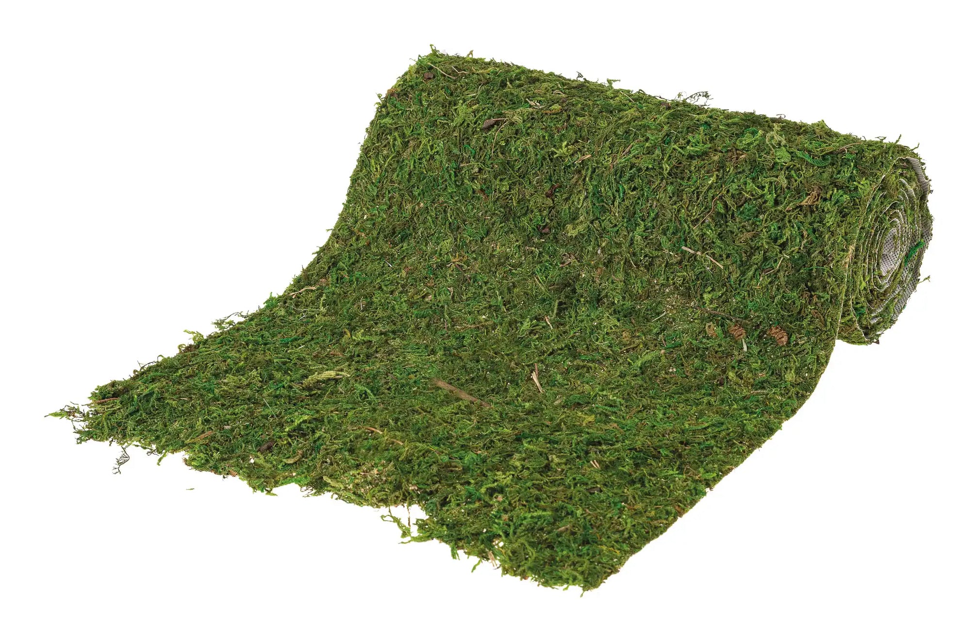 Opiflor Moosrolle – 30 × 200 cm – grün