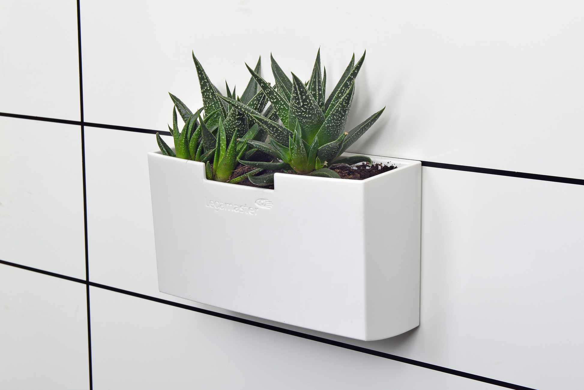 Legamaster Starter-Kit – für Whiteboards