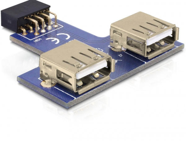 DeLOCK USB-Adapter 9-polig 2,54 mm Buchse auf 2× USB-A Buchse – USB 2.0 (480 Mbit/s) – Grau