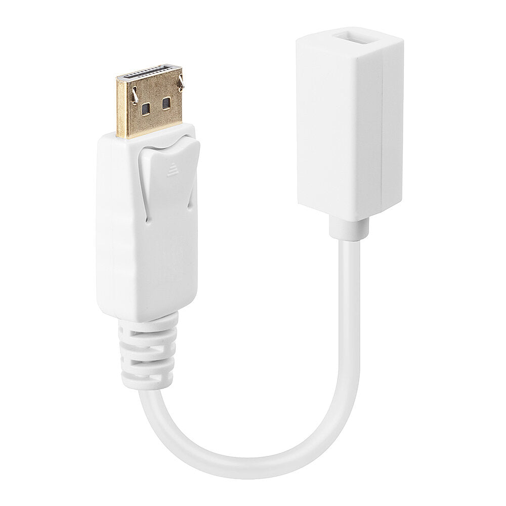 Lindy DisplayPort (Stecker) auf Mini DisplayPort (Buchse) Adapter, 15 cm