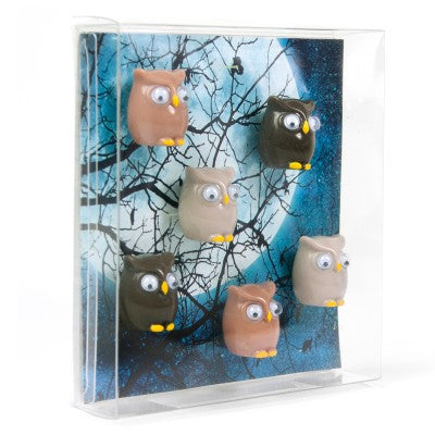 Trendform OWL FW3542 Magnete – 20 × 16 × 16 mm – 6 Stück, Kunststoff, mehrfarbig, für Magnetwände