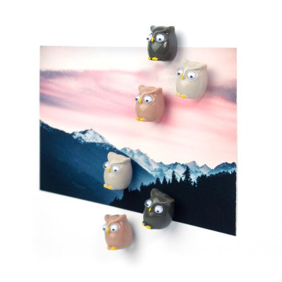 Trendform OWL FW3542 Magnete – 20 × 16 × 16 mm – 6 Stück, Kunststoff, mehrfarbig, für Magnetwände
