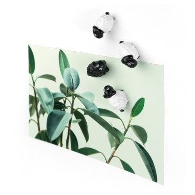 Trendform Blockmagnete SHEEP FA3737 – 26 × 14 × 16 mm – 6 Stück, schwarz/weiss, Kunstharz