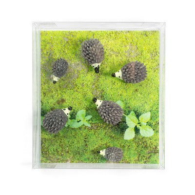 Trendform Tafelmagnete – Ø 26 mm, 6 Stk., grau