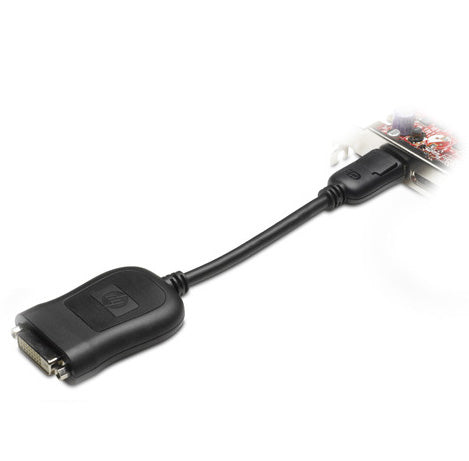 HP 484156-001 Adapter DisplayPort zu DVI-D – Schwarz