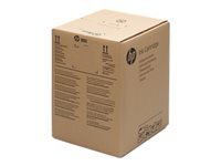 HP Tintenpatrone 893, 10'000 ml