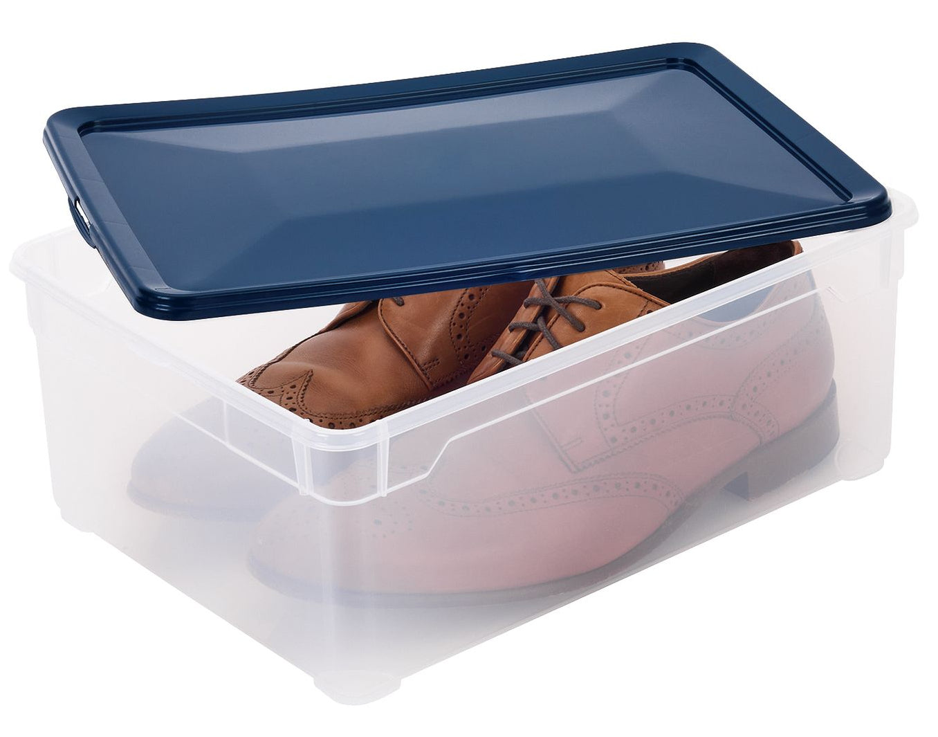 Rotho Aufbewahrungsbox 10 l (mit Deckel) – Kunststoff – transparent/blau – 360 × 140 × 260 mm