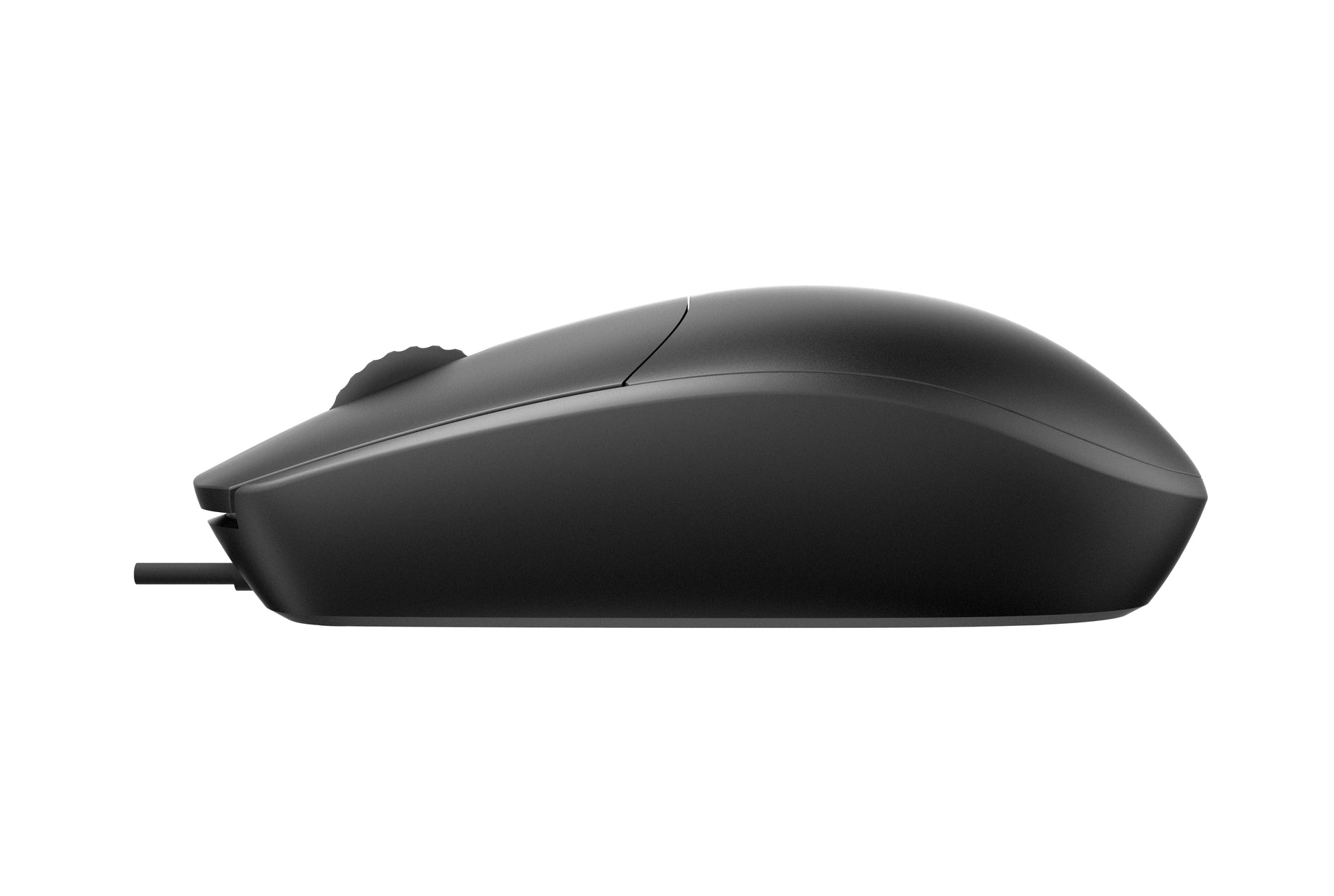 Rapoo N100 – Maus – Kabelgebunden (USB‑A), beidhändig, Schwarz