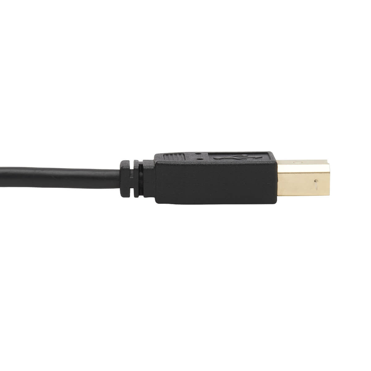 Tripp Lite KVM-Kabelsatz (DisplayPort, USB, Audio) – 4K – 1,83 m