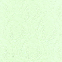 Paper + Design Ornament Taschentücher – 4-lagig, 220 × 210 mm – 10 Taschentücher – FSC