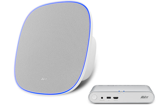 AVer FONE700 Freisprecheinrichtung – USB‑A/USB‑C – mit Hub, grau