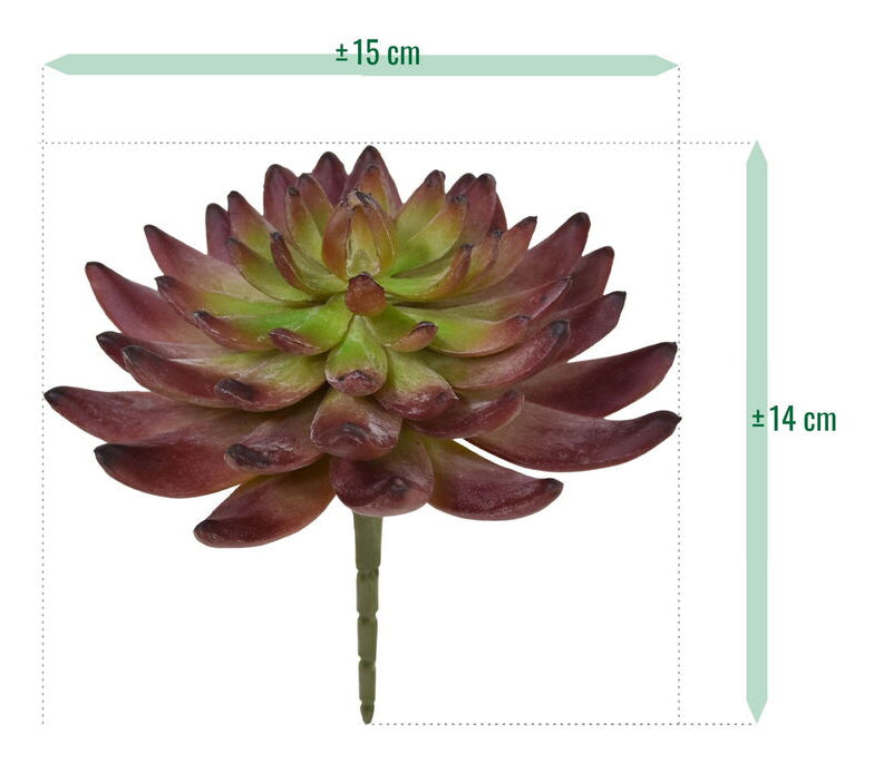 Botanic-Haus Echeveria Kunstpflanze – Ø 15 × 14 cm – Kunststoff, Grün – 8er-Pack