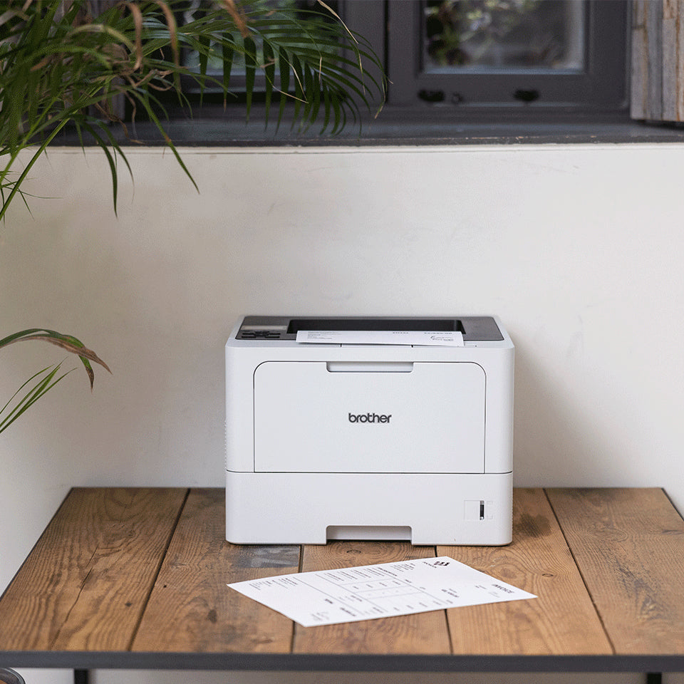 Brother HL-L5210DNT – 48 Seiten/Min, 1200 × 1200 dpi, USB