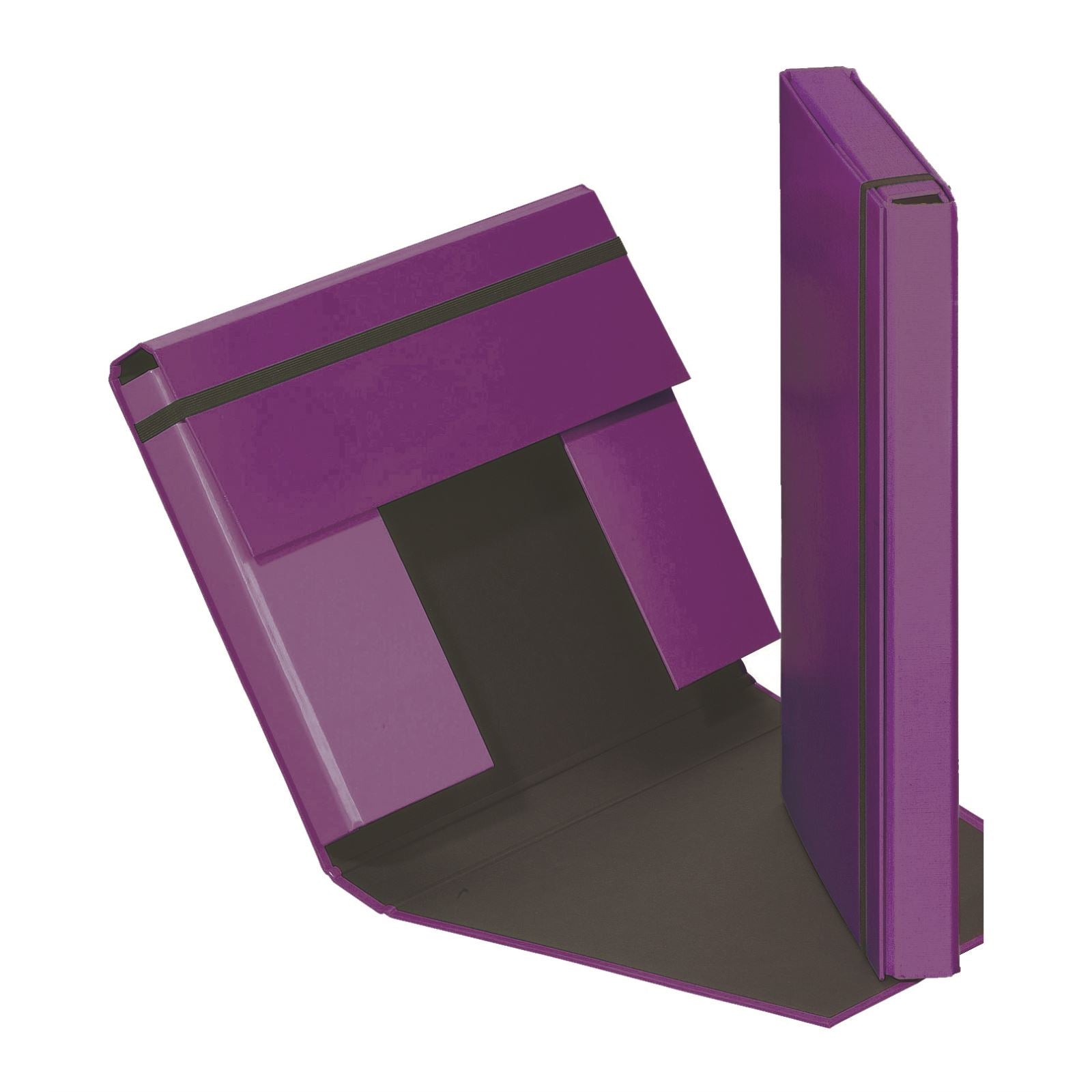 Pagna Trend A4 Heftbox – 3 Klappen, Gummiband, Karton, Violett