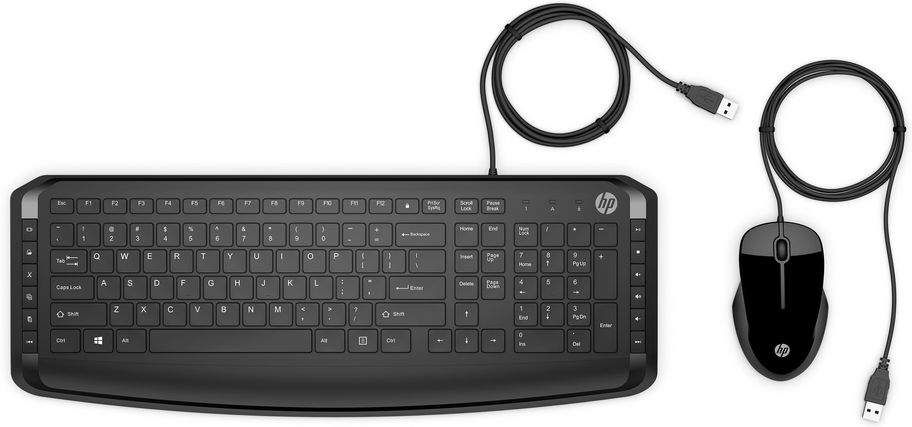 HP Tastatur- und Maus-Set – 100% – kabelgebunden – USB – Schwarz
