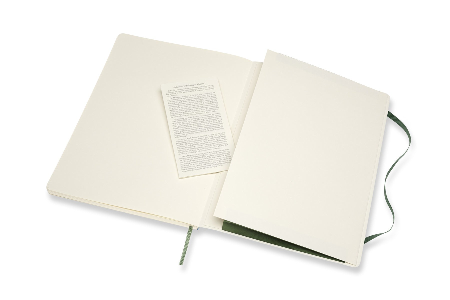 Moleskine Notizbuch, 190 × 250 mm, blanko, Fadenheftung, Softcover, 192 Seiten, 70 g/m² – grün