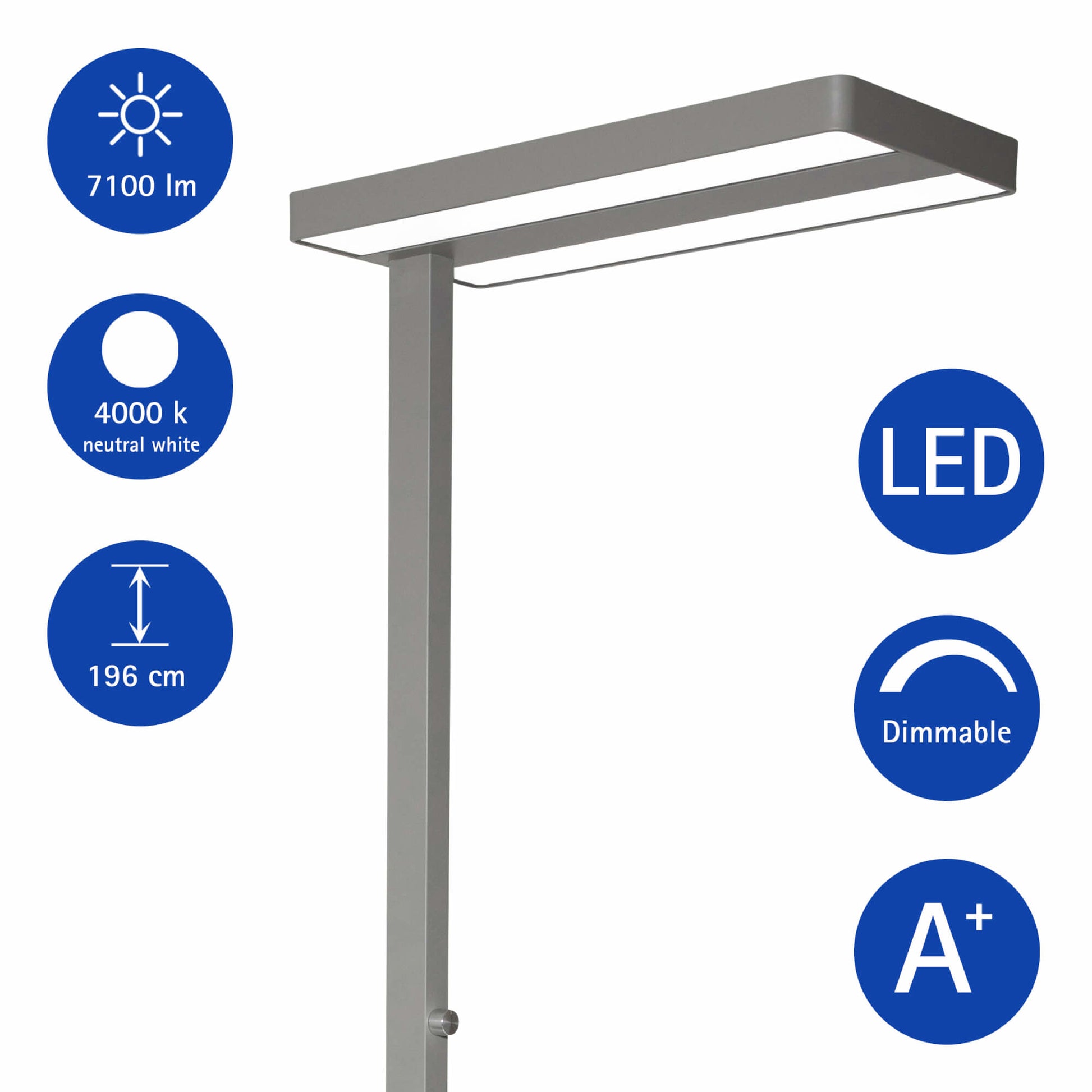MAUL Stehleuchte MAULjaval – 28,0 × 61,0 × 196,0 cm, 7100 lm, 80 W, 4000 K, dimmbar, Edelstahl, Standfuss