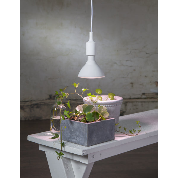 Star Trading Leuchtmittel E27 – Warmweiss, 1200 lm, 16 W – IP44 – 1 Stk. – 12.357-36