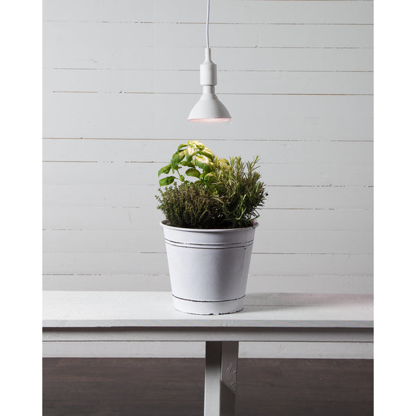 Star Trading Leuchtmittel E27 – Warmweiss, 1200 lm, 16 W – IP44 – 1 Stk. – 12.357-36