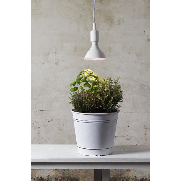 Star Trading Leuchtmittel E27 – Warmweiss, 1200 lm, 16 W – IP44 – 1 Stk. – 12.357-36
