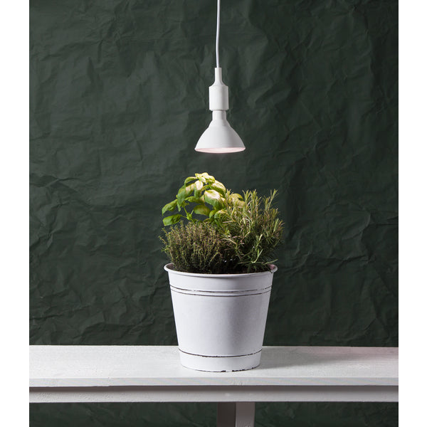 Star Trading Leuchtmittel E27 – Warmweiss, 1200 lm, 16 W – IP44 – 1 Stk. – 12.357-36