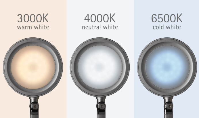 MAUL LED-Tischleuchte – dimmbar, Touchfeld, dreh- und neigbar – 3000–6500 K