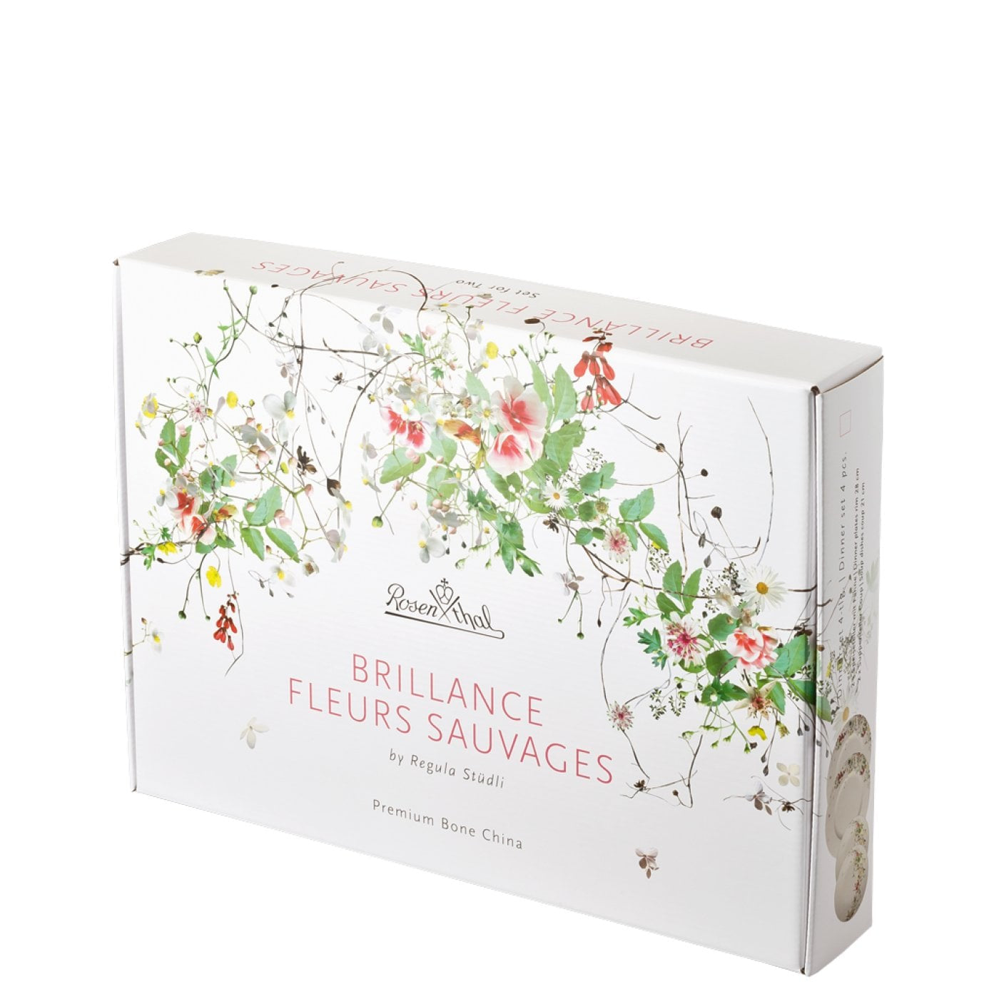 Rosenthal Speiseteller Brillance – 4er Set, Oval, Porzellan (New Bone China), Mehrfarbig