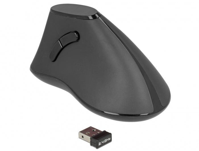 DeLOCK 12622 – Vertikale Maus – Kabellos (2,4 GHz), Rechts, Schwarz