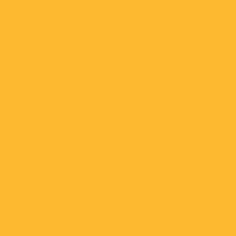 Papyrus Rainbow Kopierpapier – A3, 120 g/m², mittelorange – für Inkjet/Laser/Kopierer – FSC – 250 Blatt