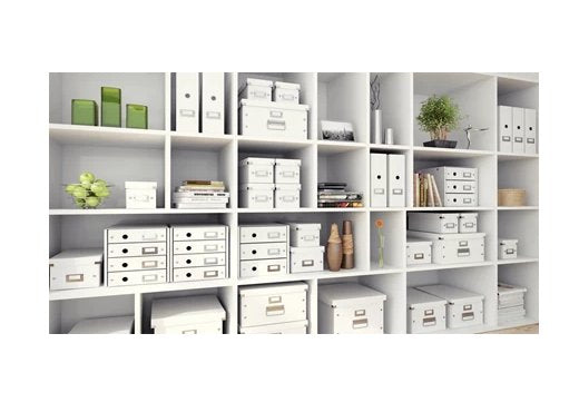 Leitz Organizer WOW 3