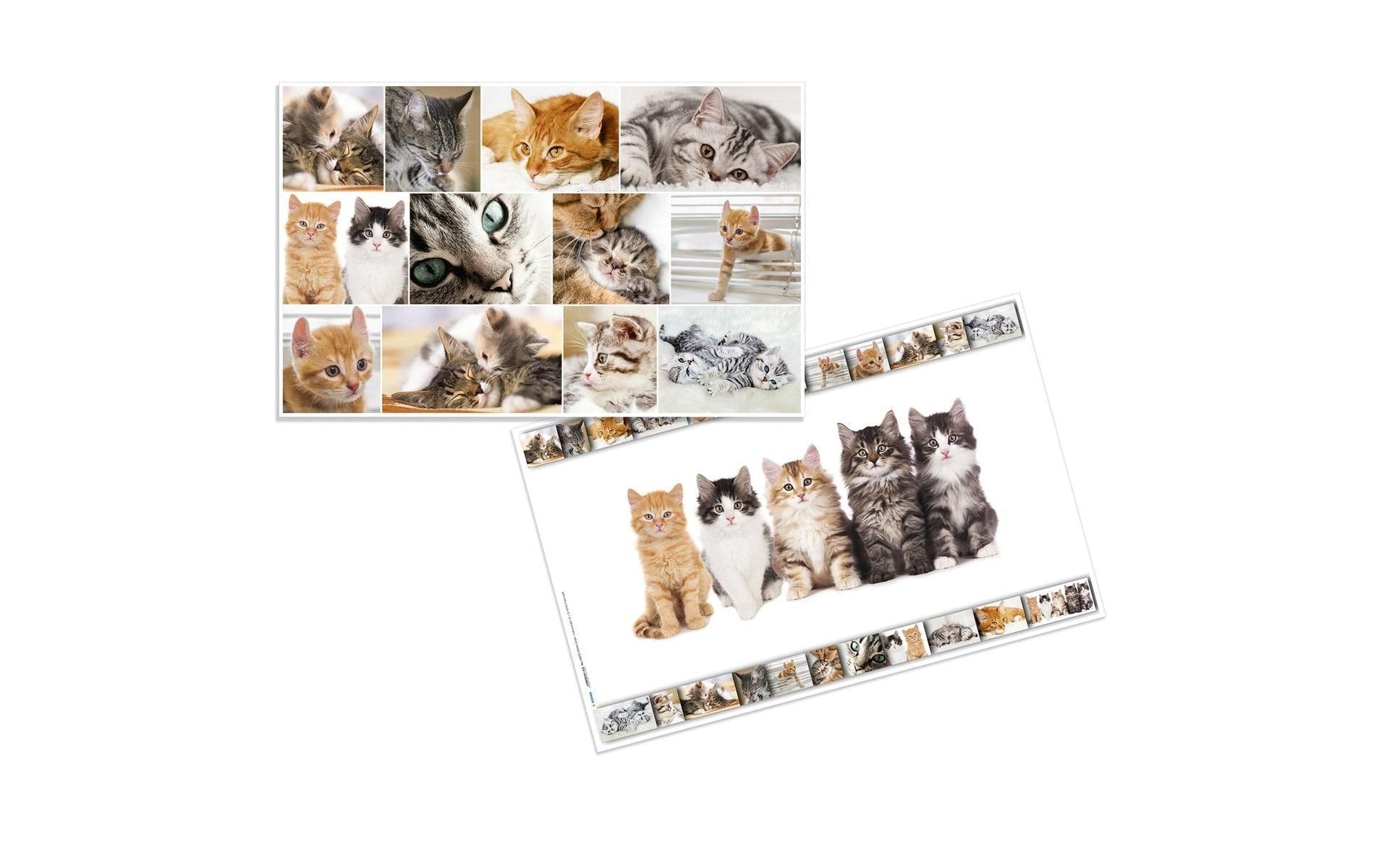 HERMA Schreibunterlage Animals – Katze – 550 × 350 mm – Kunststoff, rutschfest