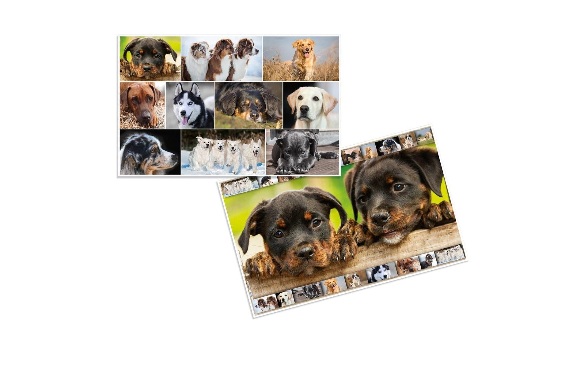 HERMA Schreibunterlage Animals – Hund – 550 × 350 mm – Kunststoff, rutschfest