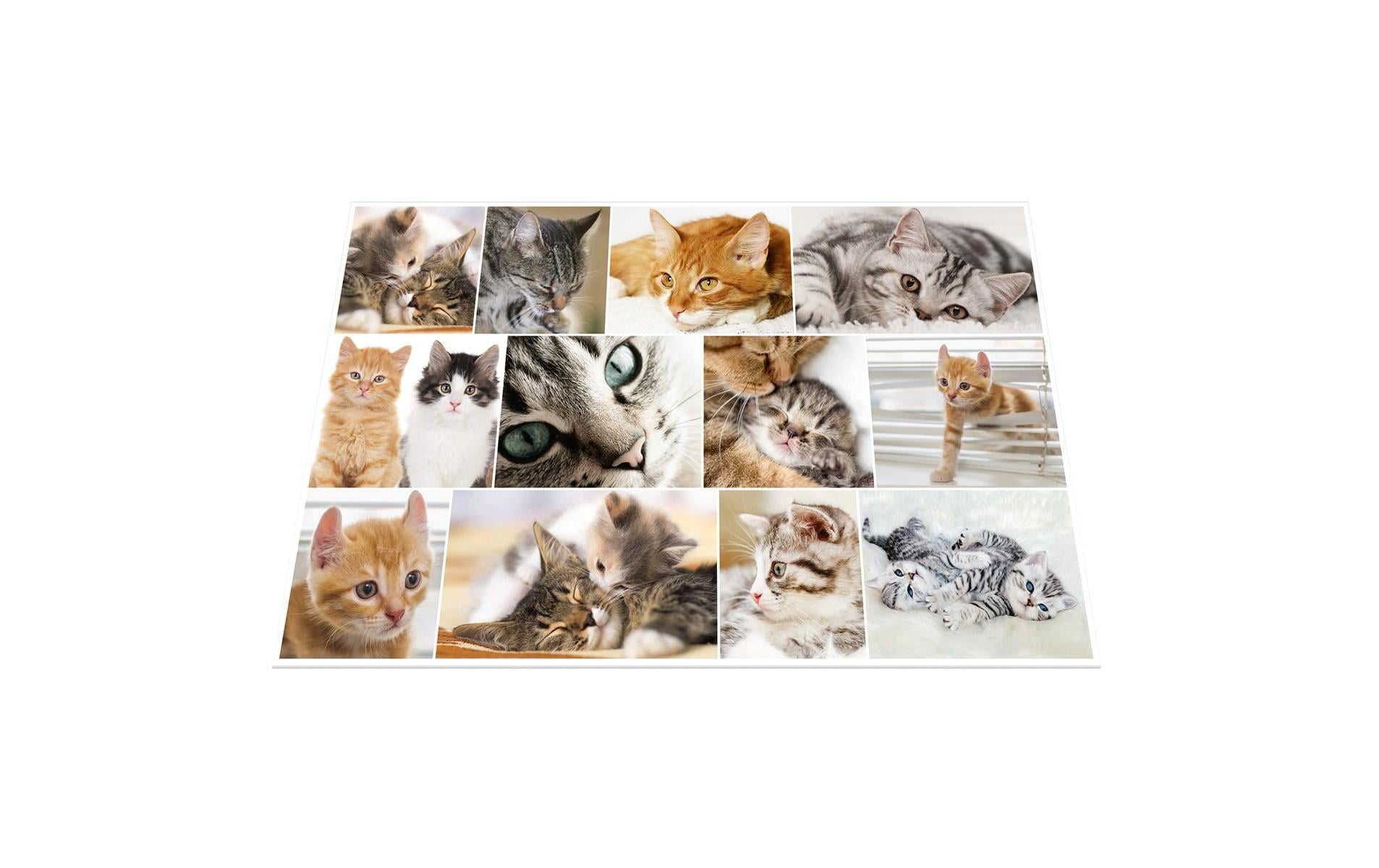 HERMA Schreibunterlage Animals – Katze – 550 × 350 mm – Kunststoff, rutschfest