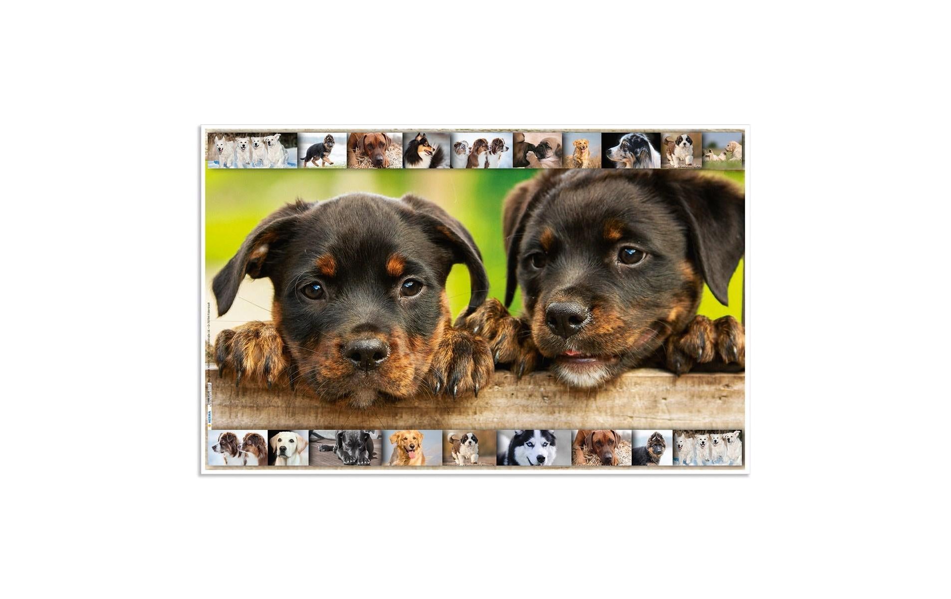HERMA Schreibunterlage Animals – Hund – 550 × 350 mm – Kunststoff, rutschfest