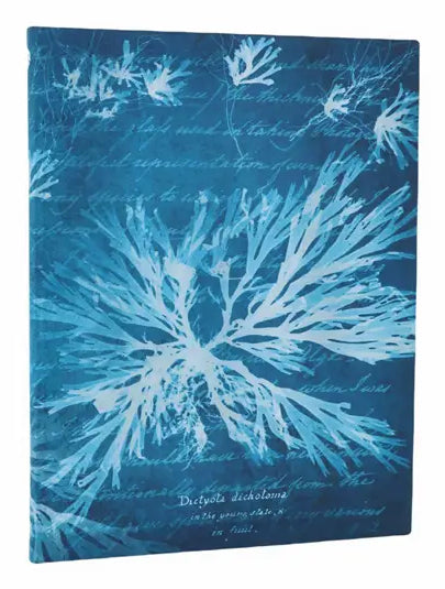 Paperblanks Notizbuch, 175 × 225 mm, liniert, gebunden, Hardcover, 80 Seiten – Meer-Motiv, grünblau