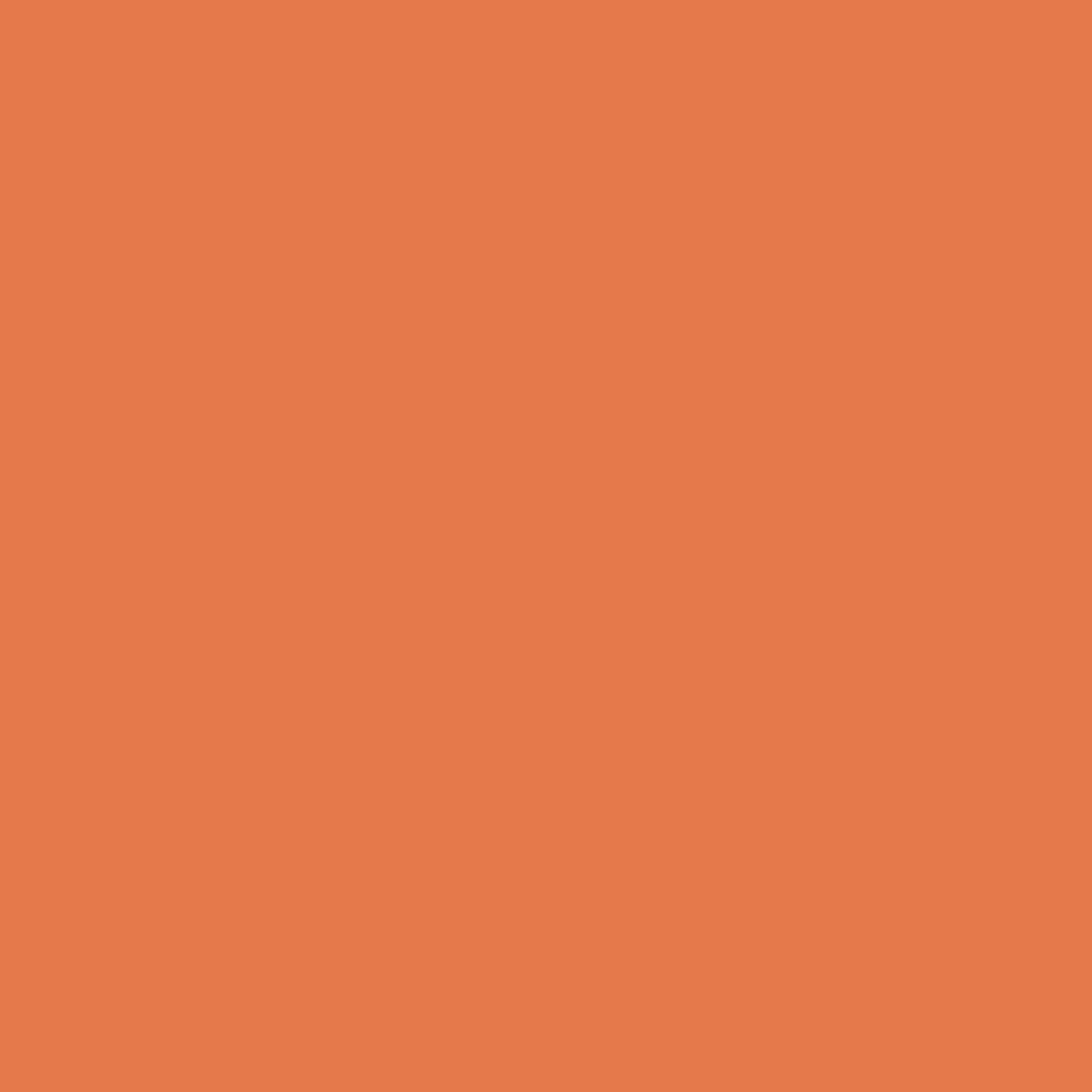 Cricut Glänzende Vinylfolie – Orange – 13,9 × 121,9 cm – für Cricut Joy Schneideplotter