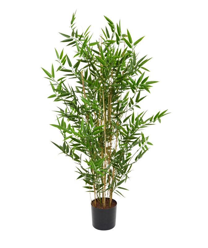Botanic-Haus Topfpflanze – Ø 45 × 90 cm – Kunststoff (PE), Grün, UV-beständig