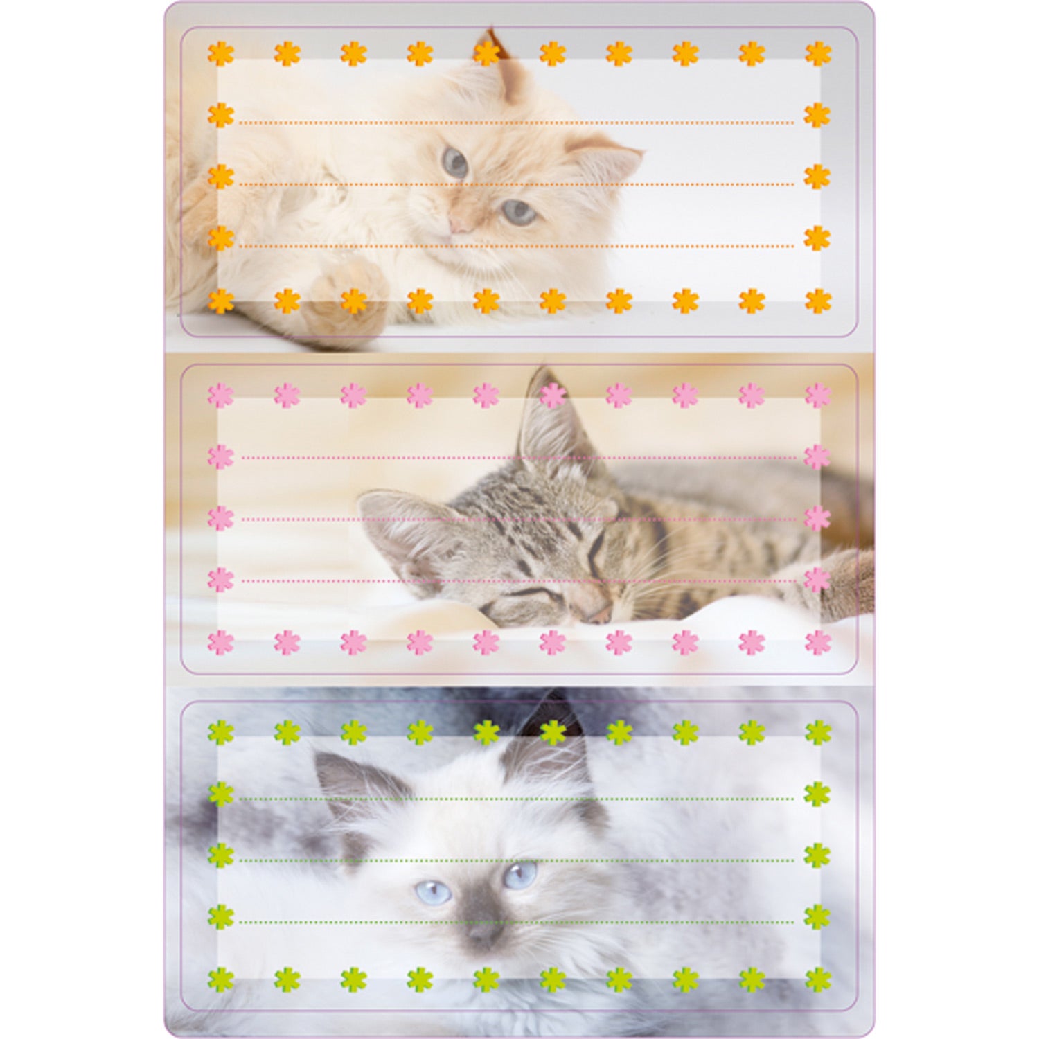 HERMA Vario Schuletiketten – Motiv Katzen – 35×76 mm, Abgerundete Ecken, 6 Stück, 2 Bögen