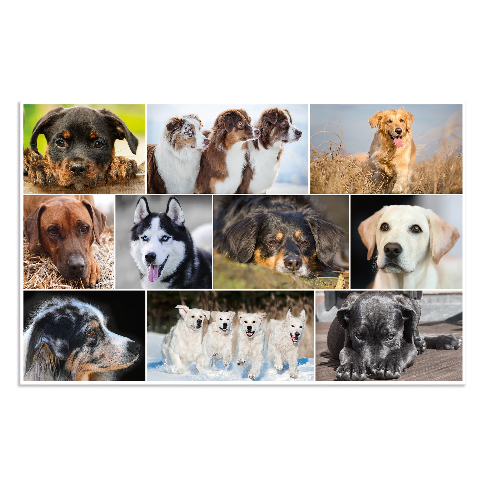 HERMA Schreibunterlage Animals – Hund – 550 × 350 mm – Kunststoff, rutschfest