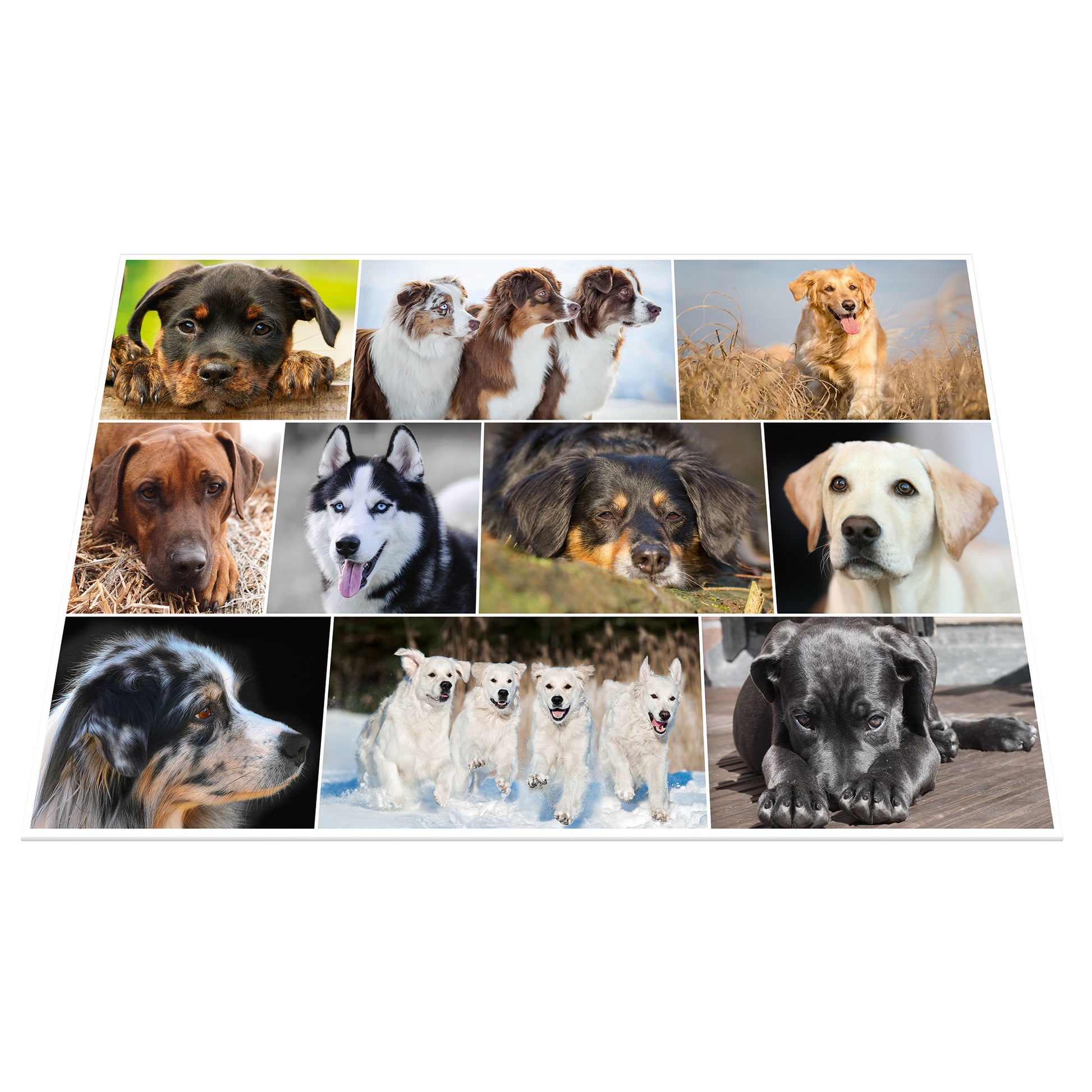 HERMA Schreibunterlage Animals – Hund – 550 × 350 mm – Kunststoff, rutschfest