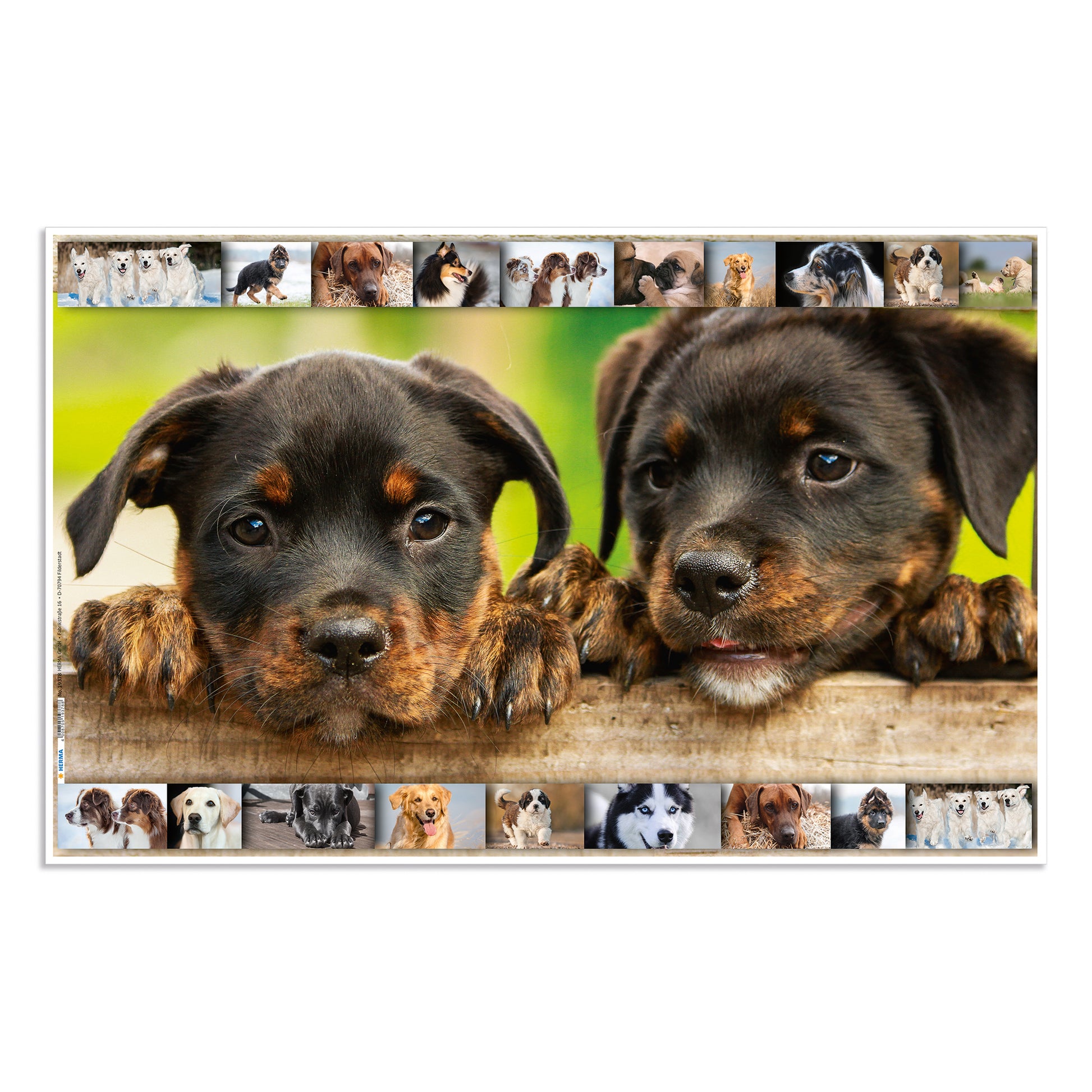HERMA Schreibunterlage Animals – Hund – 550 × 350 mm – Kunststoff, rutschfest