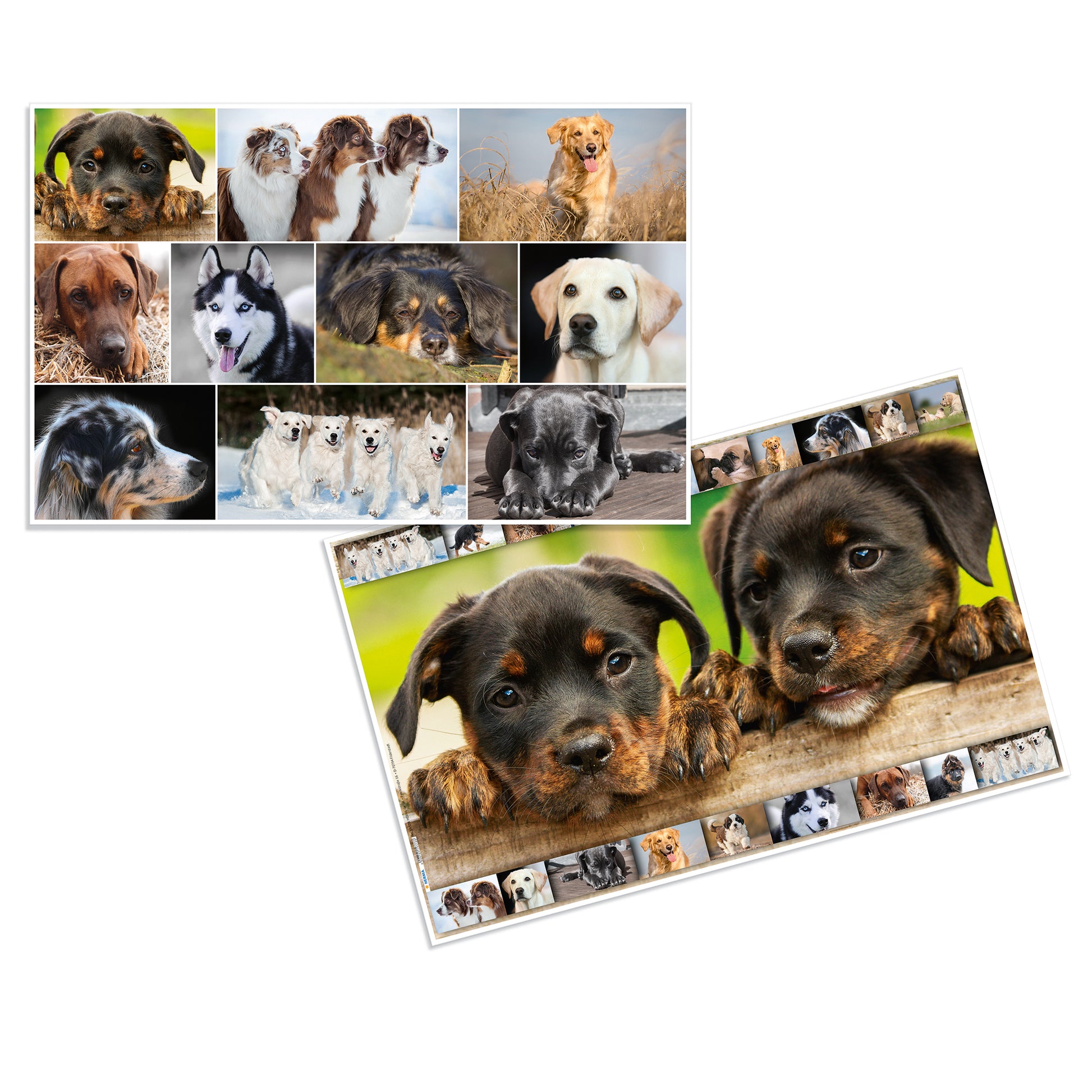 HERMA Schreibunterlage Animals – Hund – 550 × 350 mm – Kunststoff, rutschfest