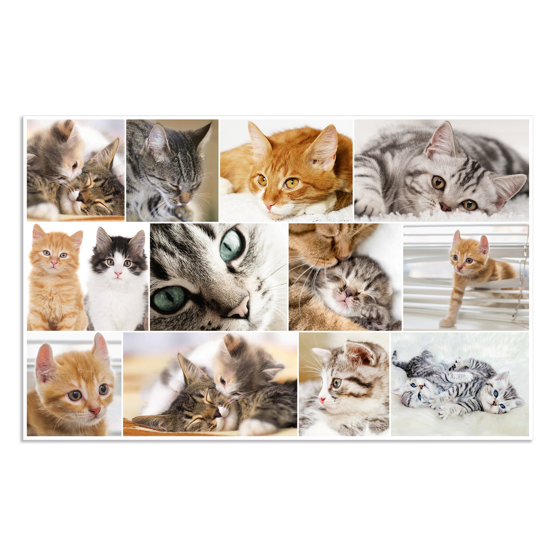 HERMA Schreibunterlage Animals – Katze – 550 × 350 mm – Kunststoff, rutschfest
