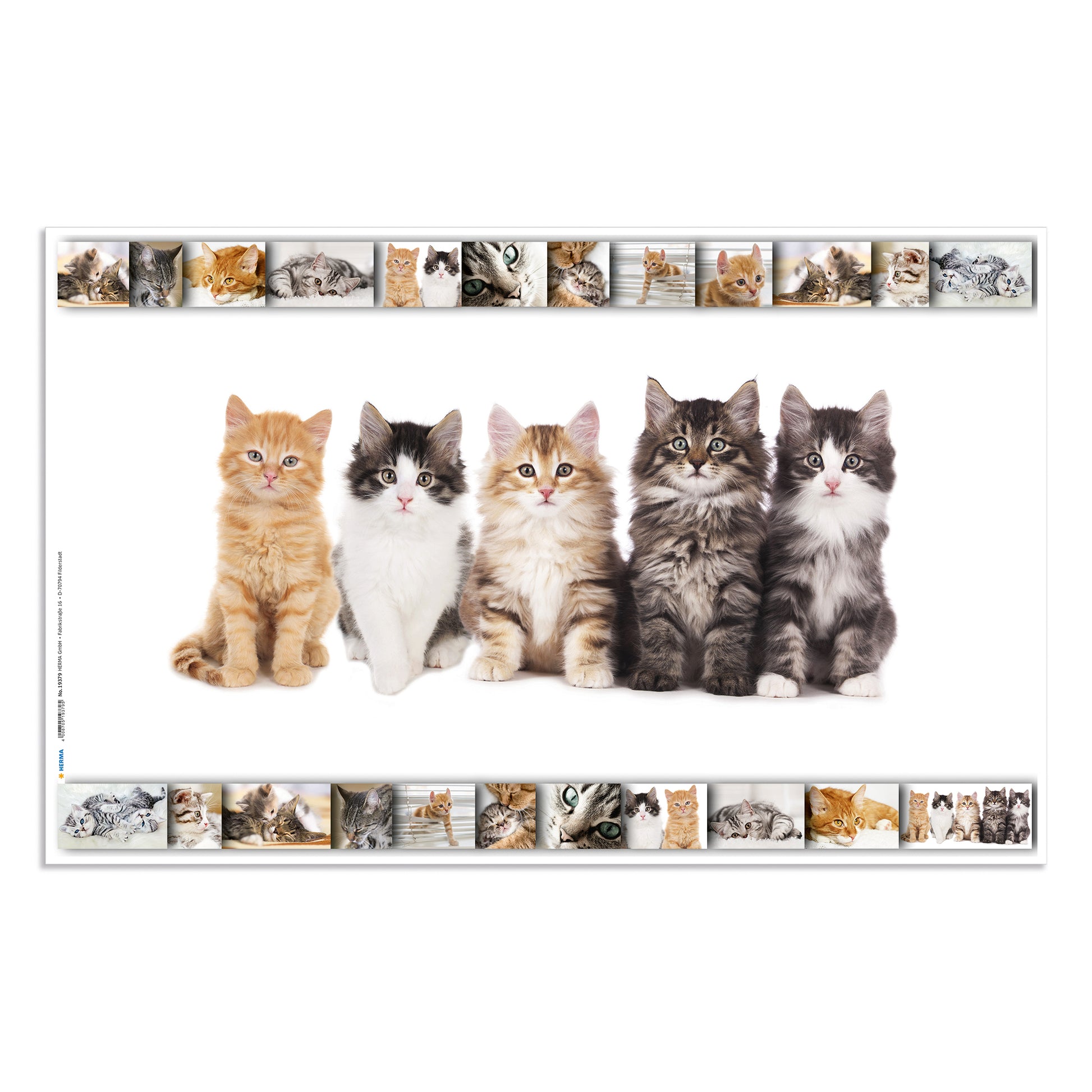 HERMA Schreibunterlage Animals – Katze – 550 × 350 mm – Kunststoff, rutschfest