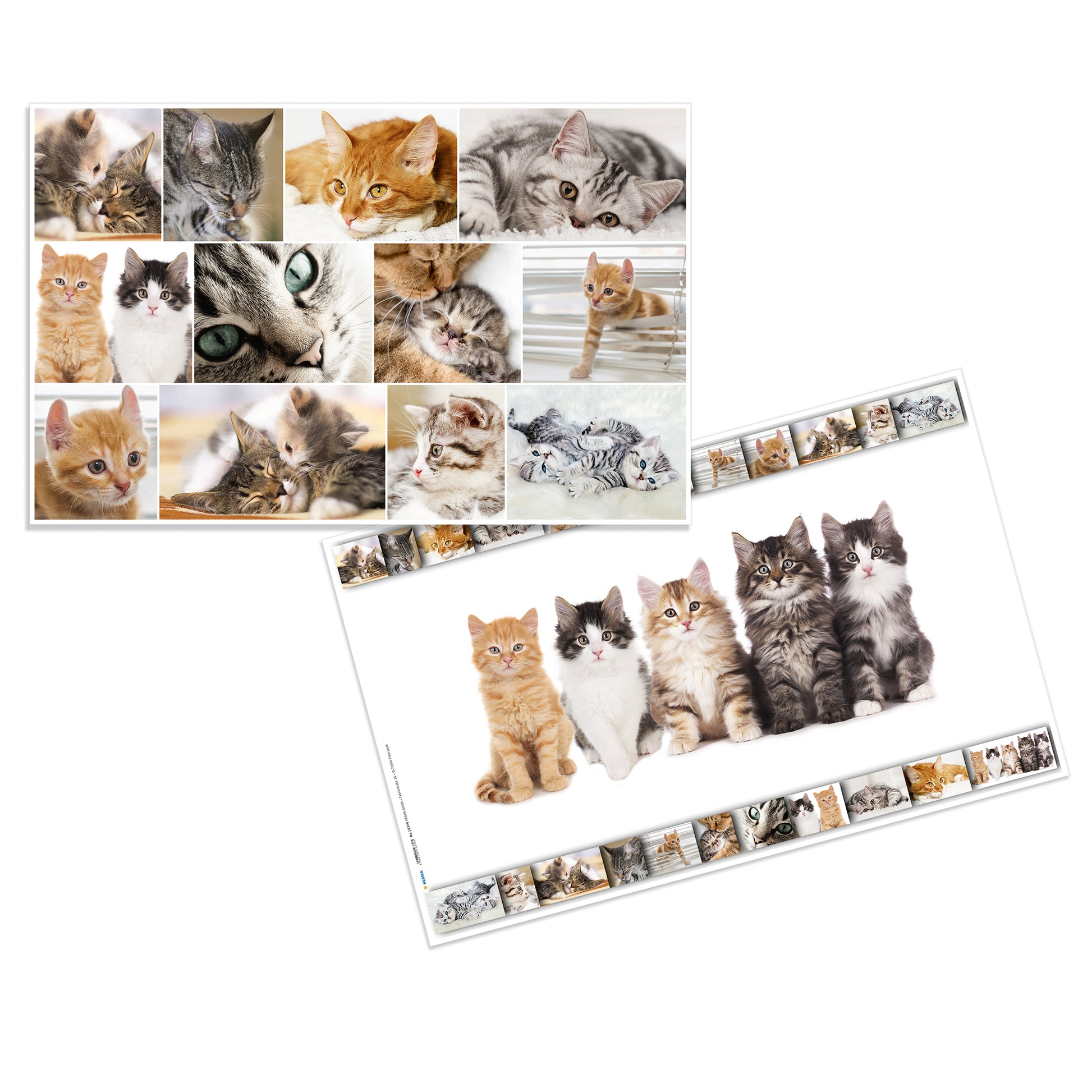 HERMA Schreibunterlage Animals – Katze – 550 × 350 mm – Kunststoff, rutschfest