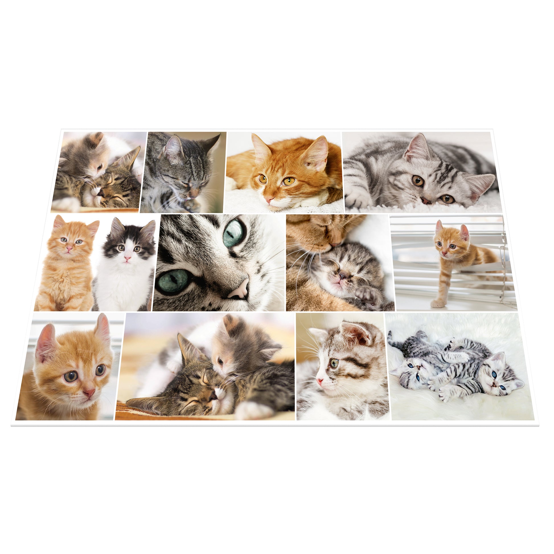 HERMA Schreibunterlage Animals – Katze – 550 × 350 mm – Kunststoff, rutschfest